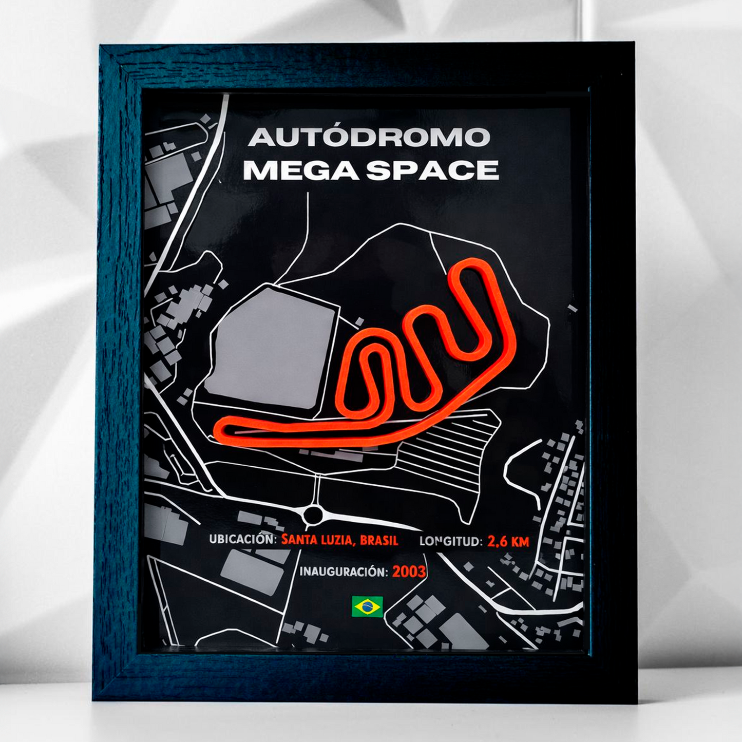 Cuadro circuito Mega Space